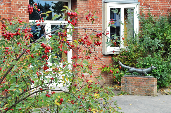 Auf dem Bild ist der Eingang des Fuchsbaus zu sehen.