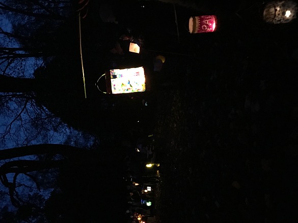 Auf dem Bild sind hell erleuchtete Laternen zu sehen. Die Laternen sind selbstgebastelt und leuchten in den unterschiedlichsten Farben.